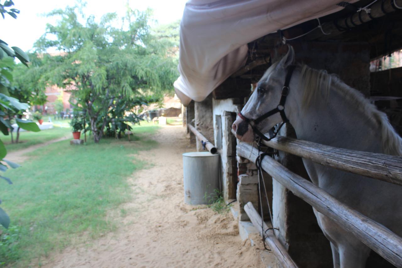 Shannu'S Ranch Inn Πουσκάρ Εξωτερικό φωτογραφία