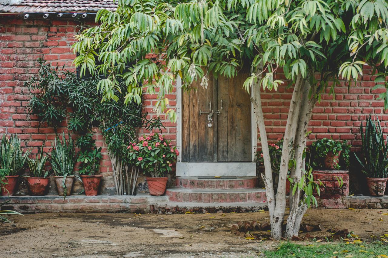 Shannu'S Ranch Inn Πουσκάρ Εξωτερικό φωτογραφία
